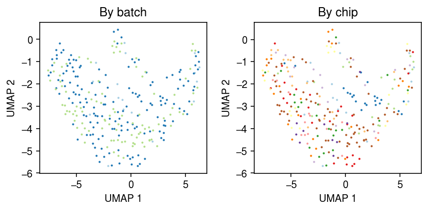 ipsc-NA18507-umap.png