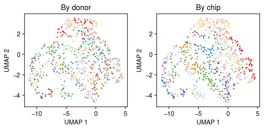 ipsc-b1-umap.png