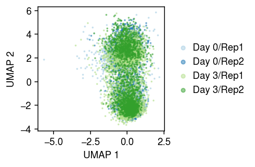 ipsc-cm-day0-3-pvae.png