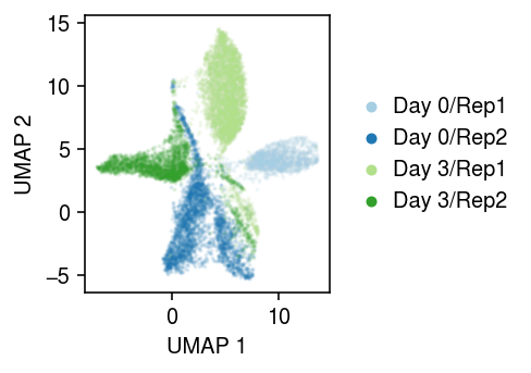 ipsc-cm-day0-3.png