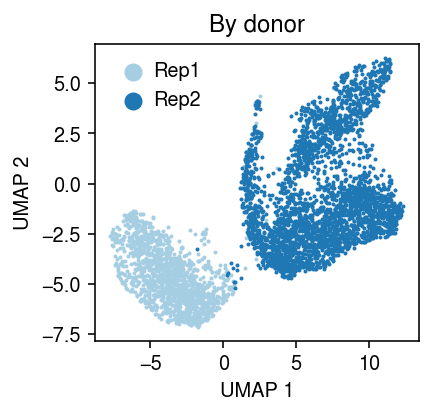 ipsc-cm-day0-umap.png