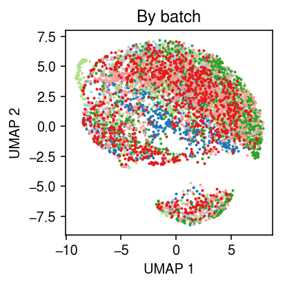 ipsc-umap.png