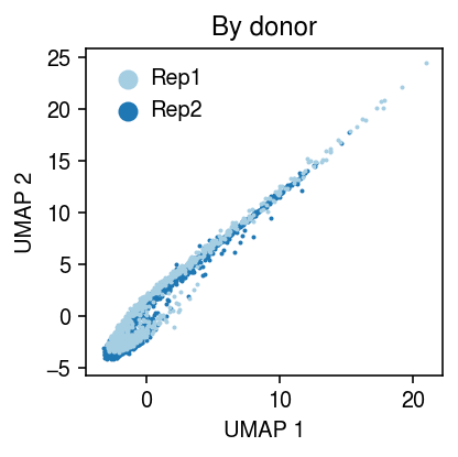 pvae-umap.png