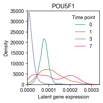 ipsc-cm-POU5F1.png