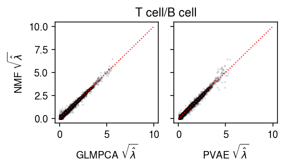 cytotoxic_t-b_cells.png